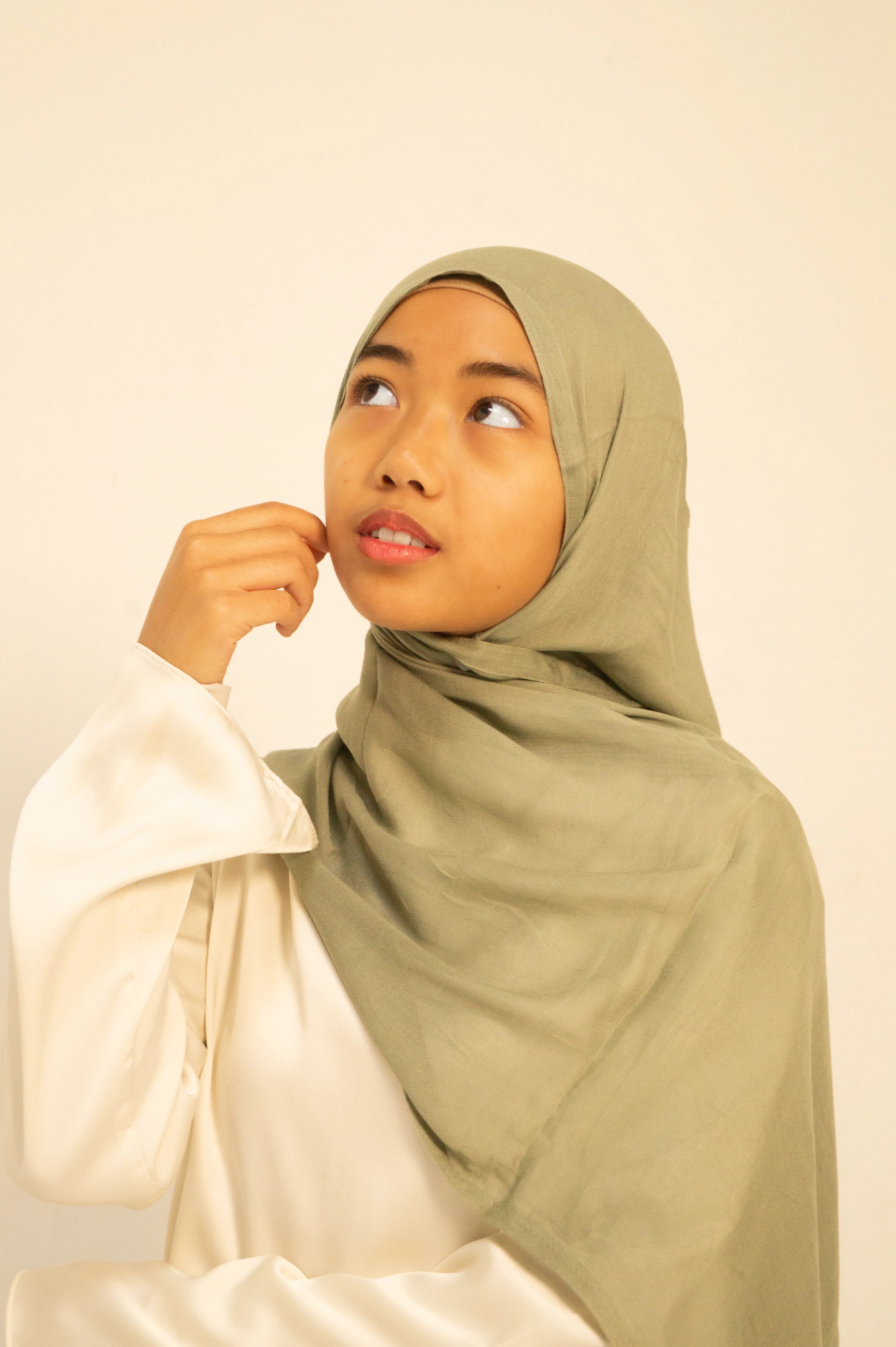 Pale Sage Modal