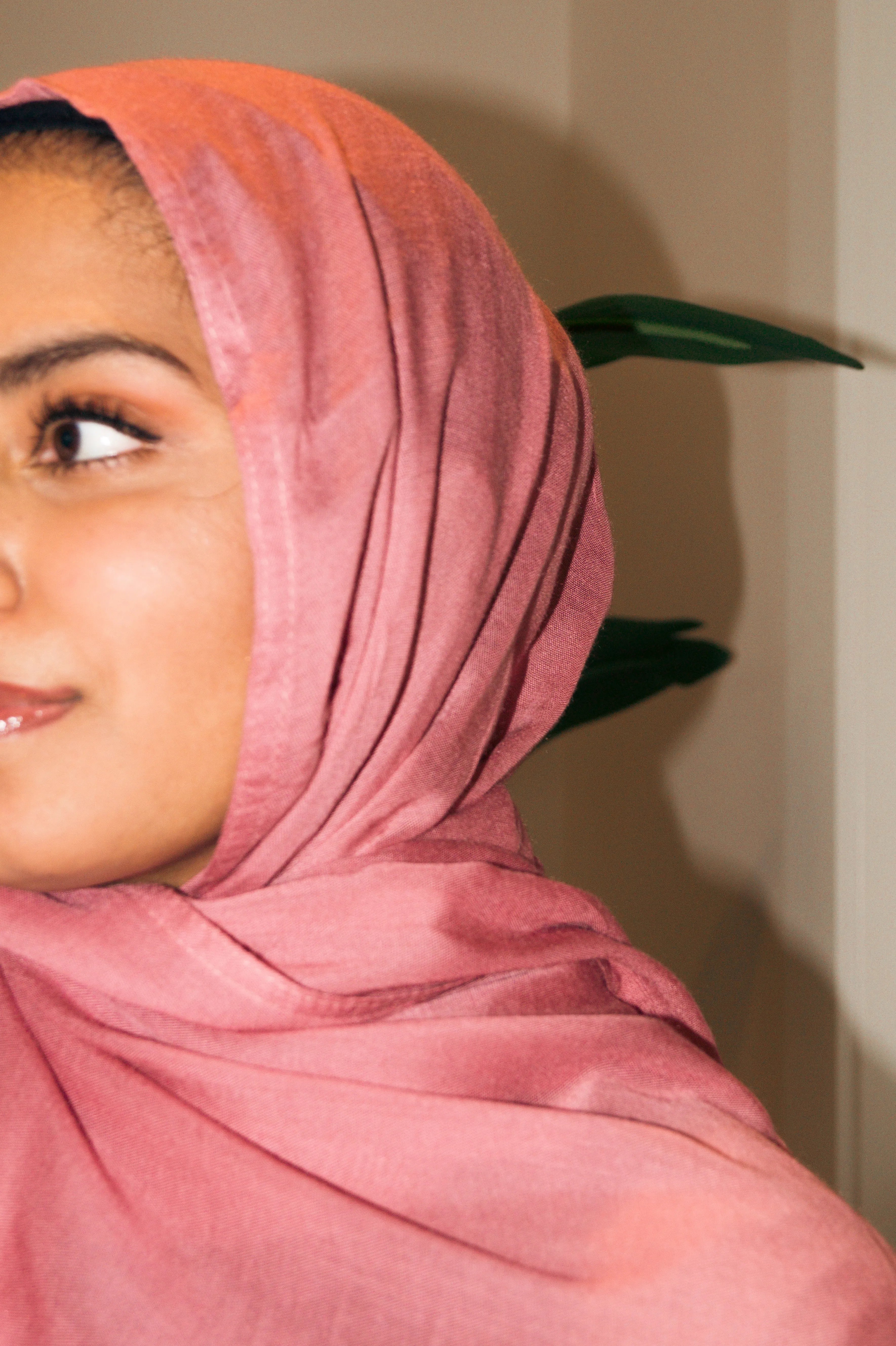 Warm Pink Modal